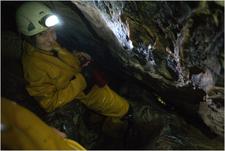 Thumbnail of photo from this article